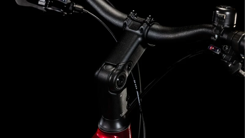 Cube Touring Pro maroon´n´pearl Trapez
